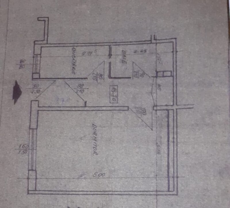 Salajan, Patriotilor.