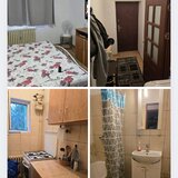 Salajan, Patriotilor